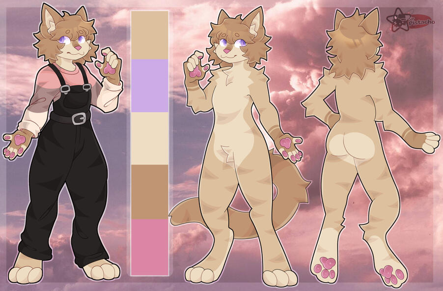 Front-back-clothes or Front-back